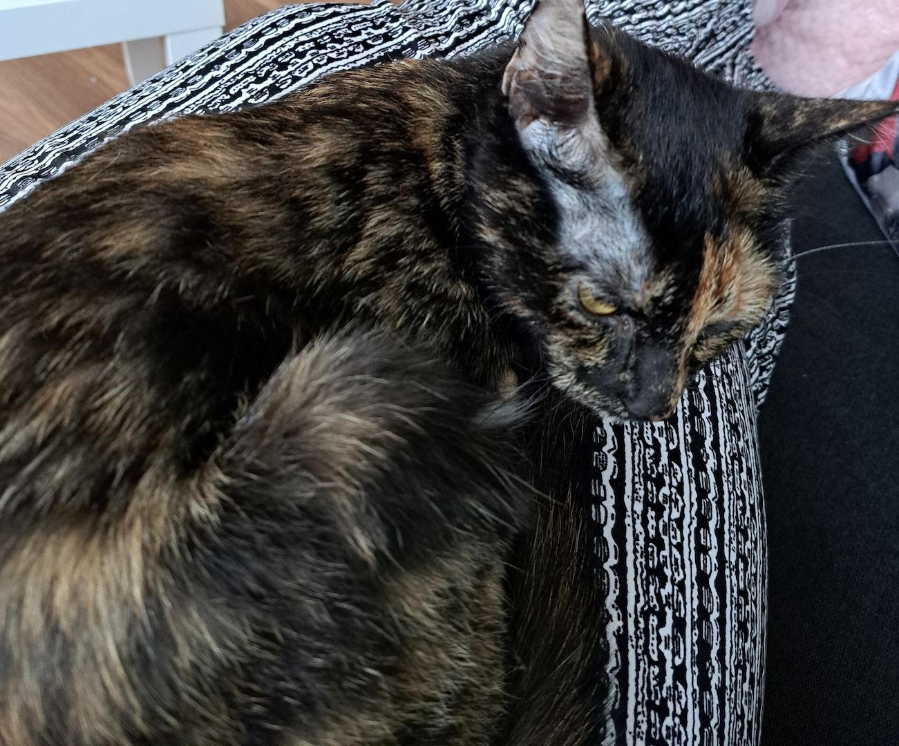 Liebevolles Zuhause gesucht!!!