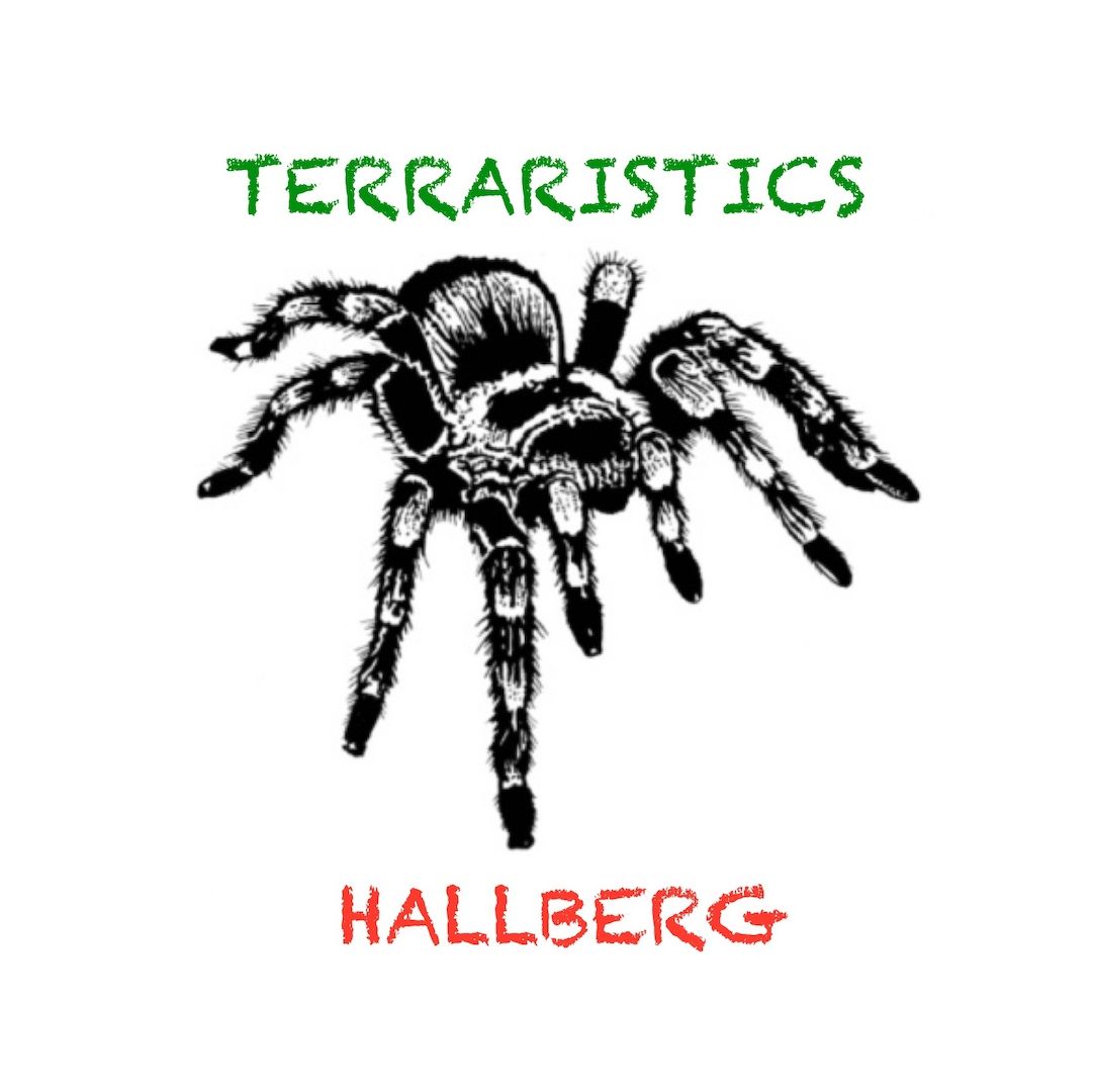 Suche 1 Glasterrarium 20 x 30 x 20 cm ( LxTxH )