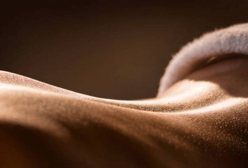 Sanfte Massage für Frauen in deiner Umgebung