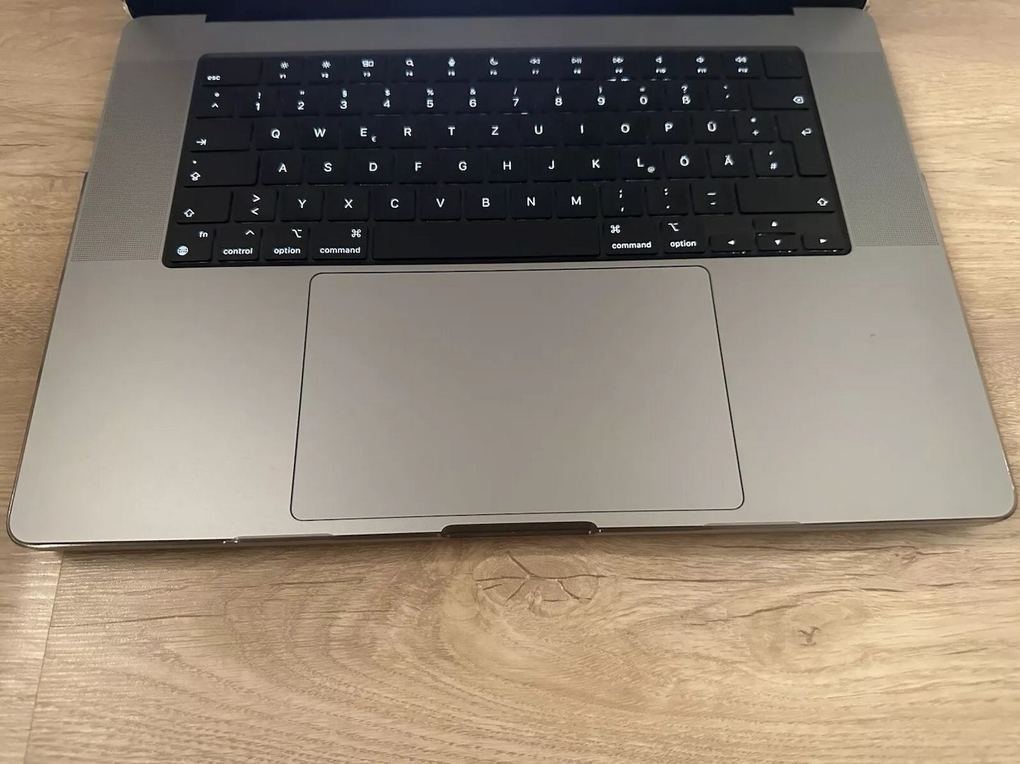 MacBook Pro M2 Max 16 Zoll 96 GB Arbeitsspeicher