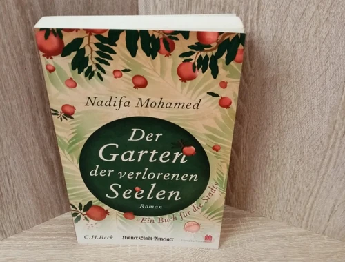 Mohamed, Nadifa-Der Garten der verlorenen Seelen-TB.