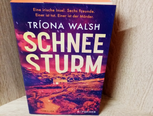 Walsh, Tríona-Schneesturm - Thriller.