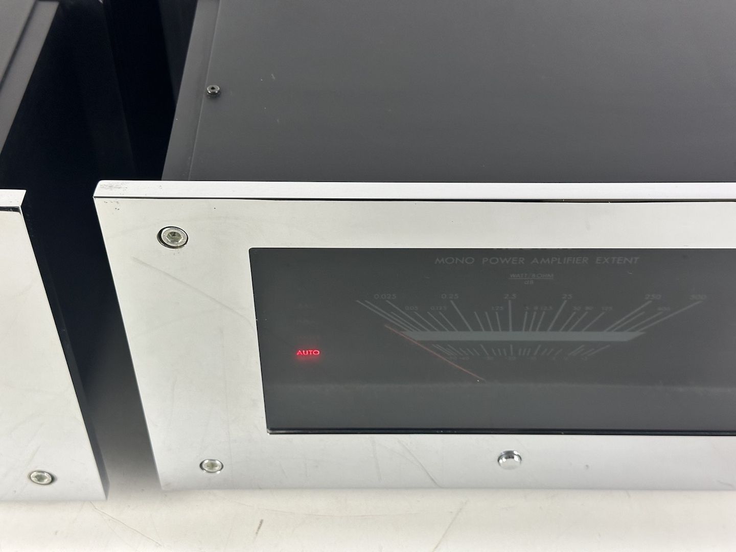 2 x Restek Extent Mono Endstufe