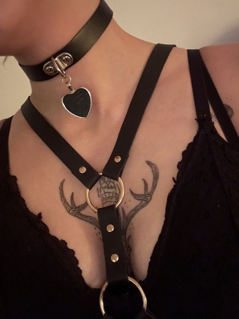 Bilder und Videos nach deinem Wunsch