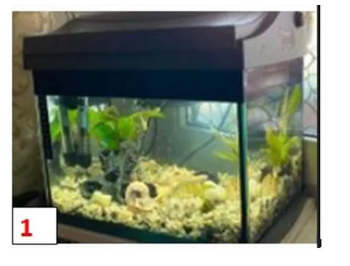 3. verschiede Aquarien Terraien 15€, 30€, 40€ VHS