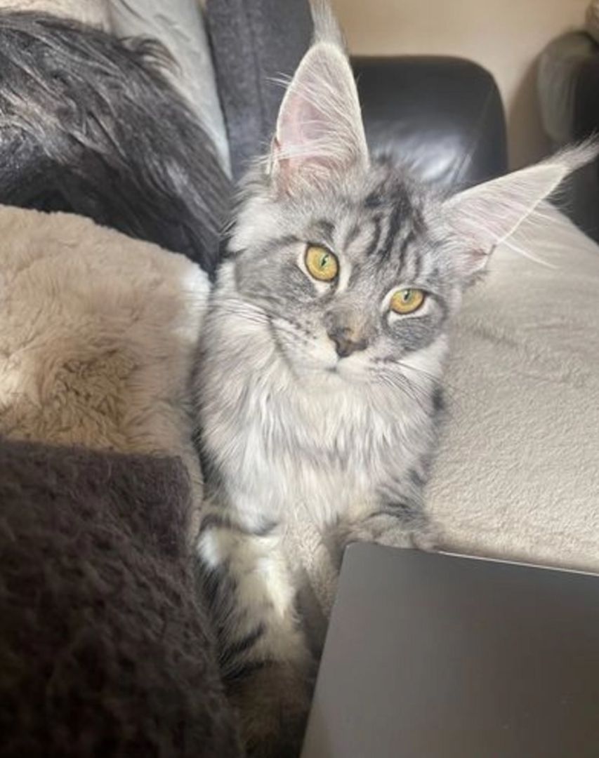 Traumgirl sucht Traumzuhause