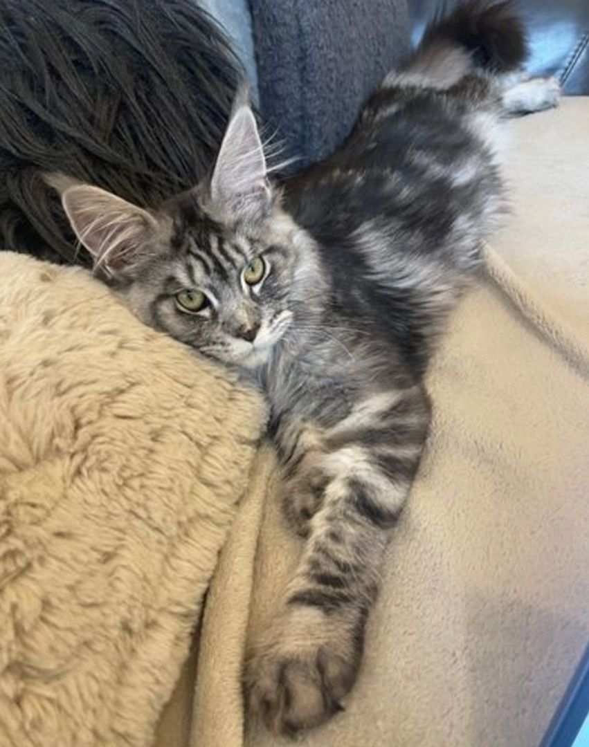 Traumgirl sucht Traumzuhause