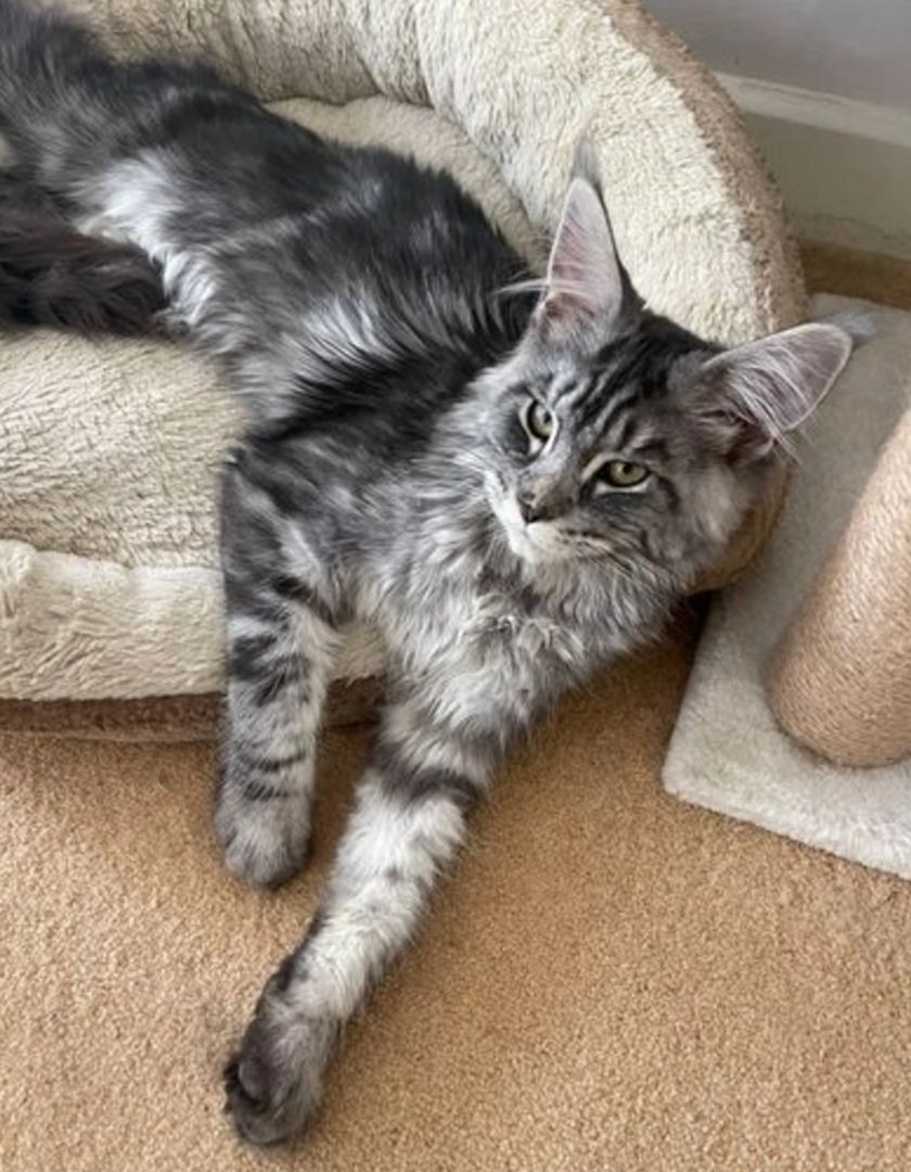 Traumgirl sucht Traumzuhause