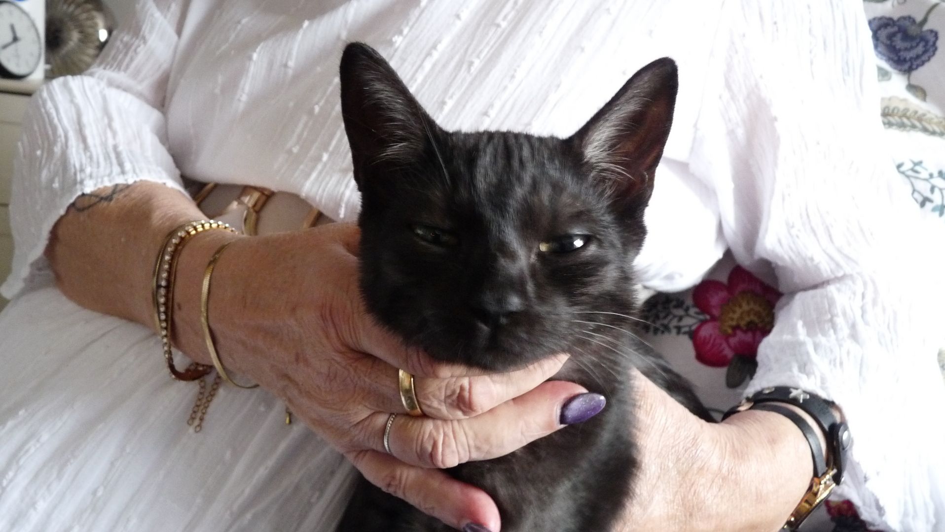 Schwarzes Katerchen zu verkaufen