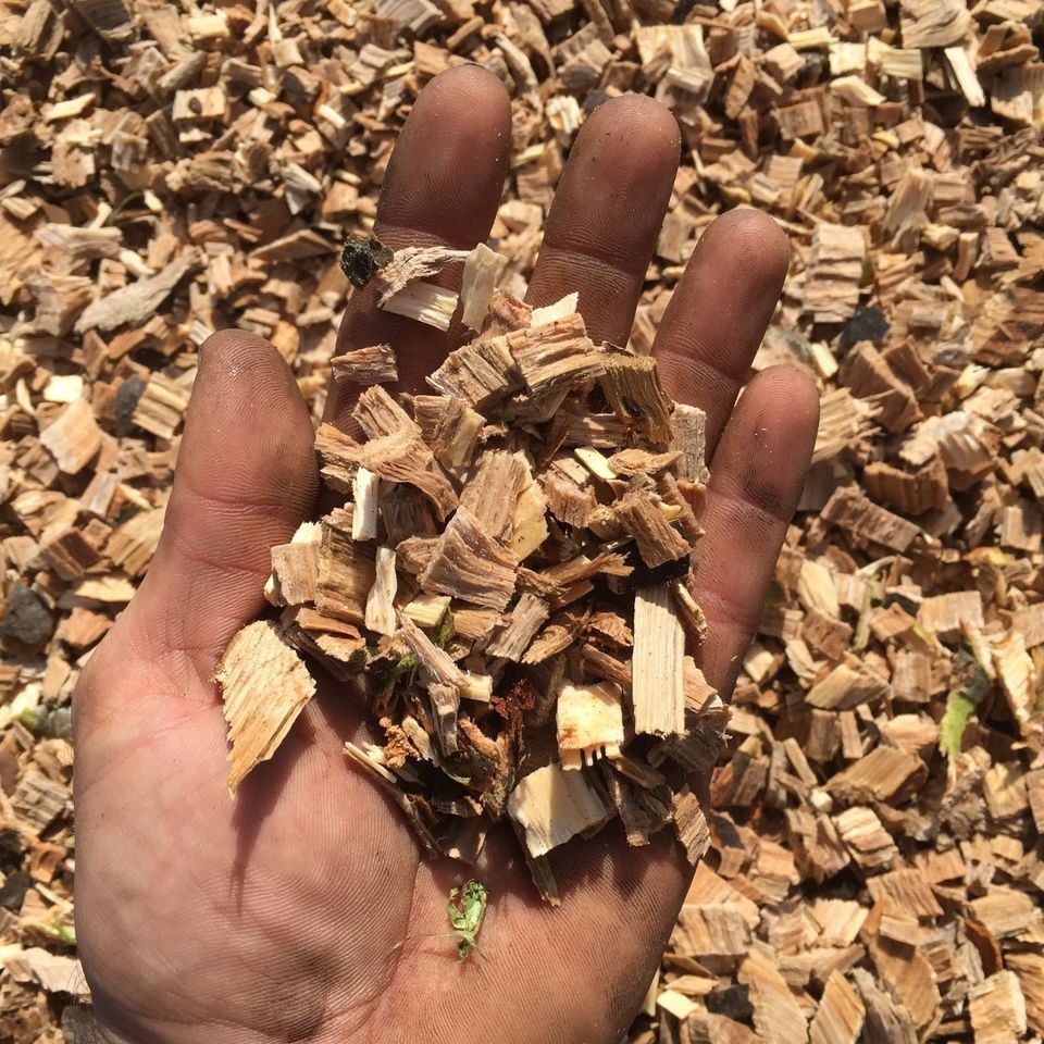 Holzhäcksler, Schredder TS GM 10M