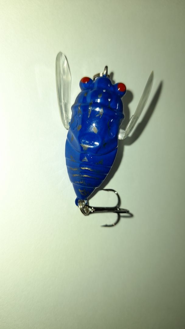 Angeln, Angelköder, Forellen Wobbler, Köder