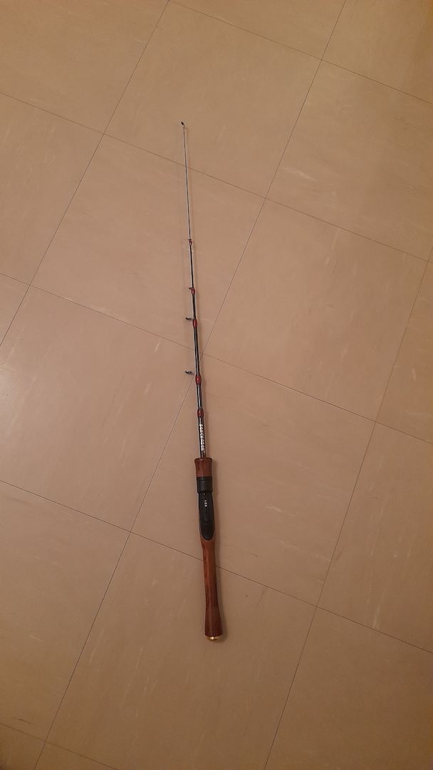 Angeln Ultra Light Angelrute Spinnrute Ultraleicht Forellenrute
