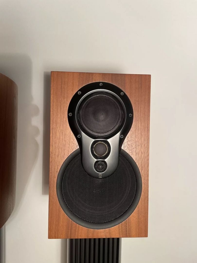 Linn Akudorik Lautsprecherpaar Guter Zustand