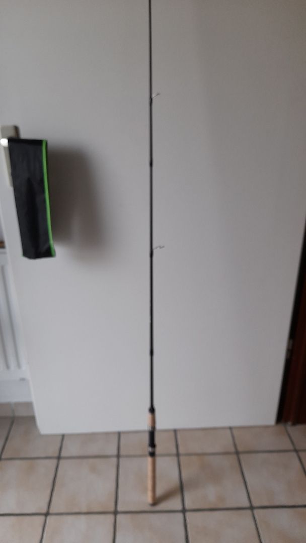 Angeln, Ultra Light Angelrute, Rute