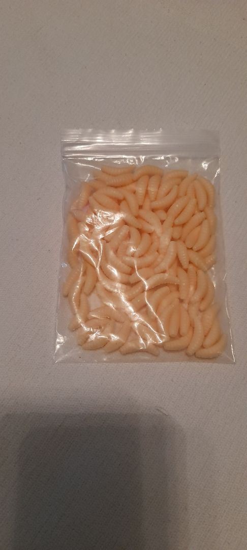 Angeln Silikon Maden Bienenmaden Forellenköder Köder