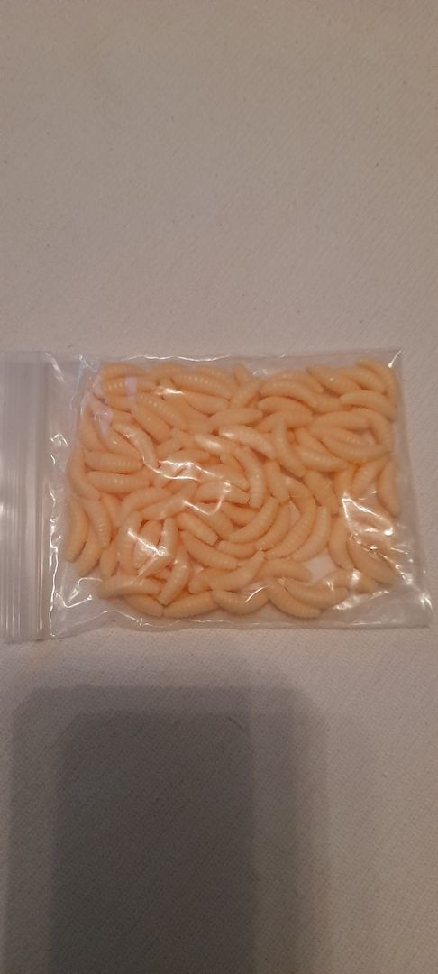 Angeln Silikon Maden Bienenmaden Forellenköder Köder