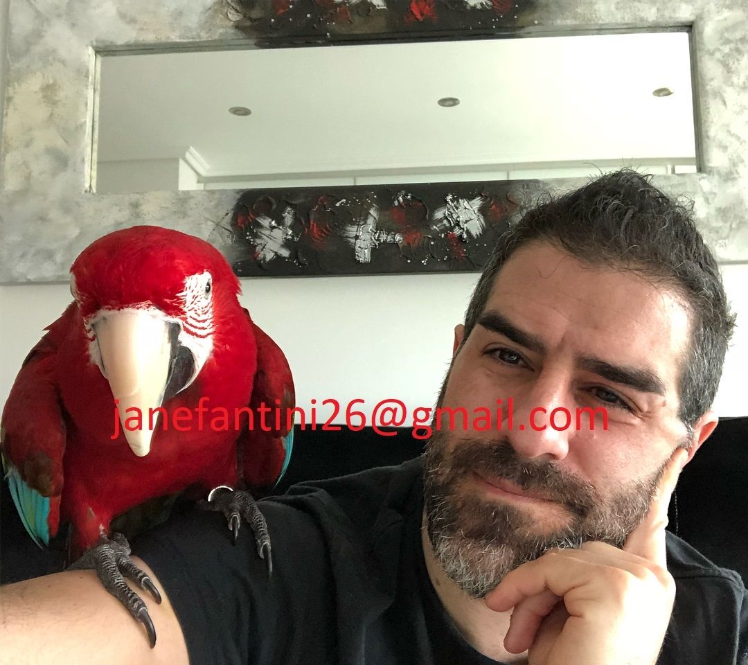 Wir verkaufen Chloroptera- und Ararauna-Papageien und ihre Eier.