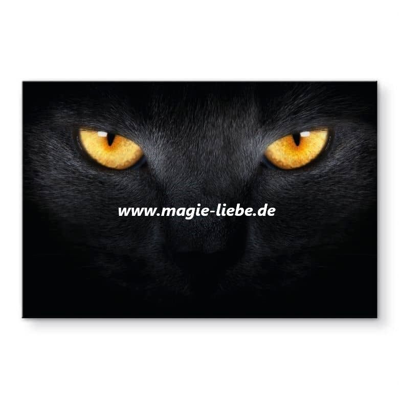 Voodoo Puppen,Liebeszauber,Magie