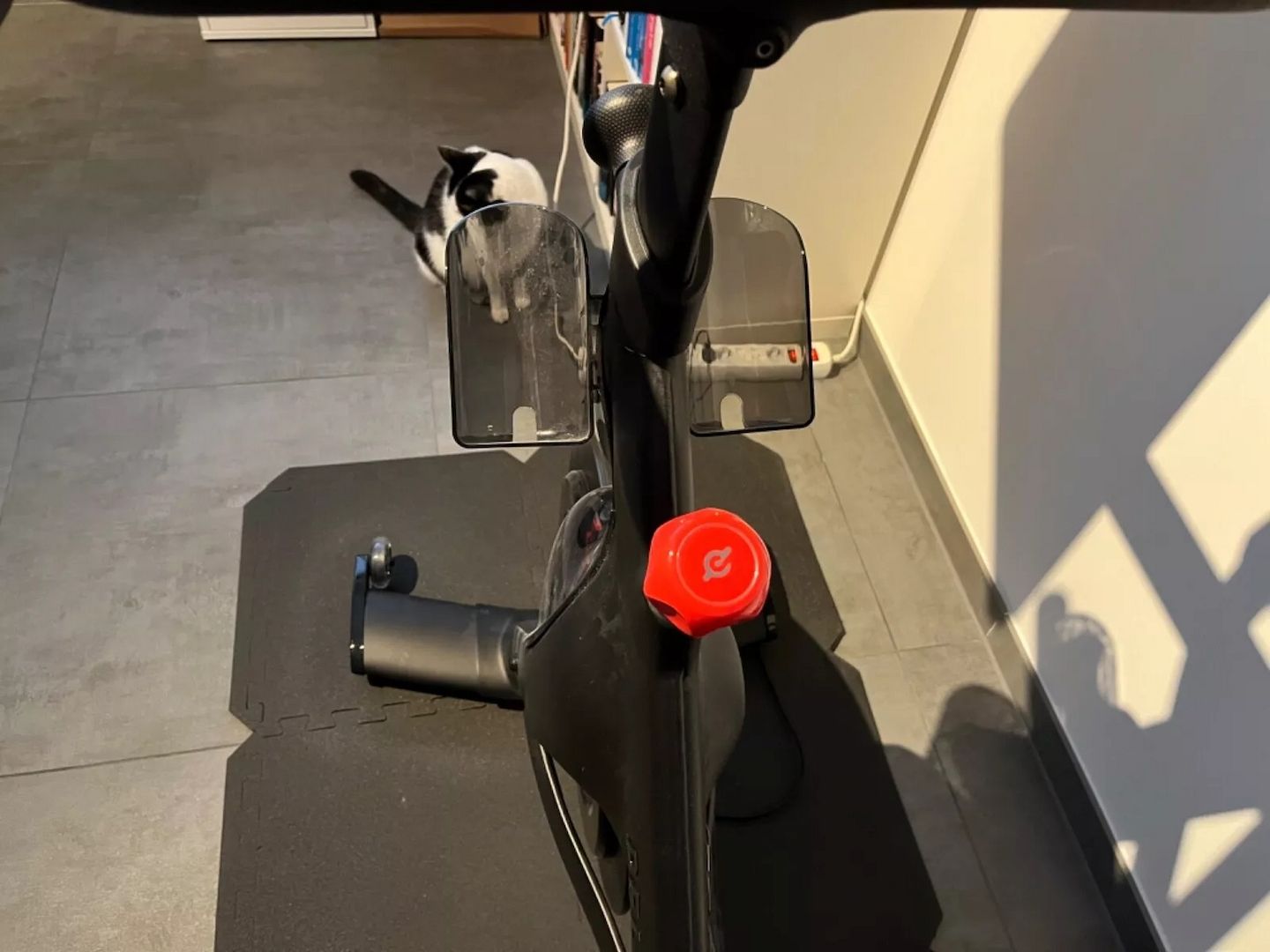 Peloton Bike Fitnessbike mit 22 Zoll HD