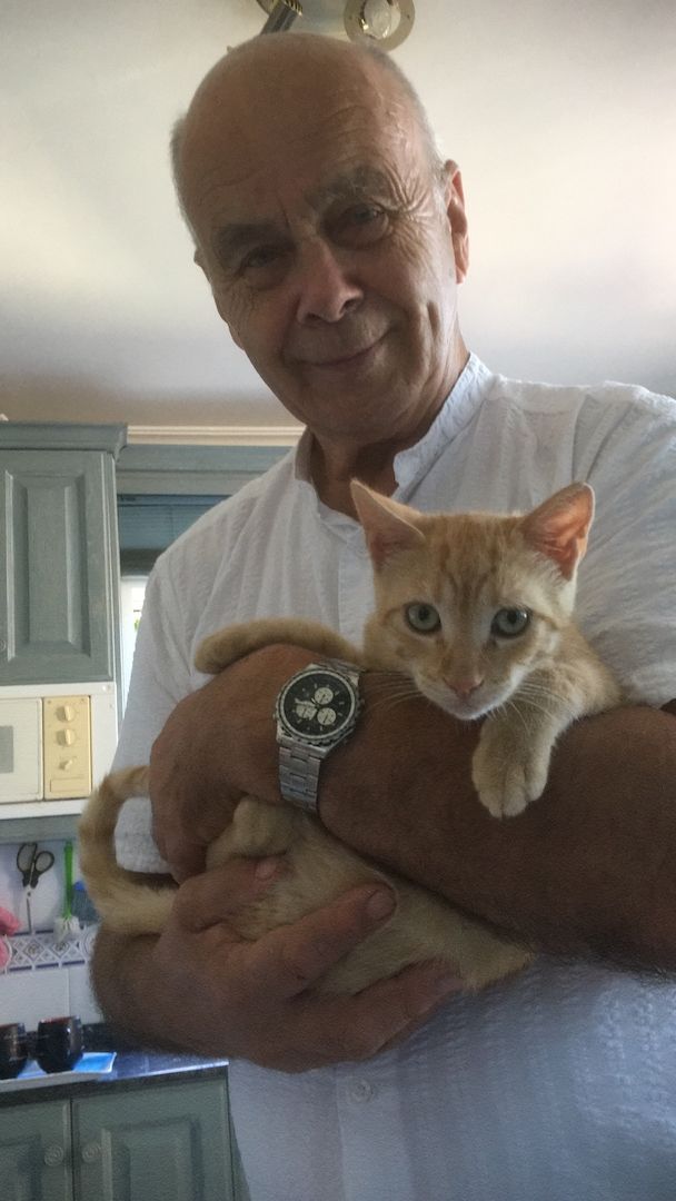 Suche eine liebevolle ehrliche Partnerin