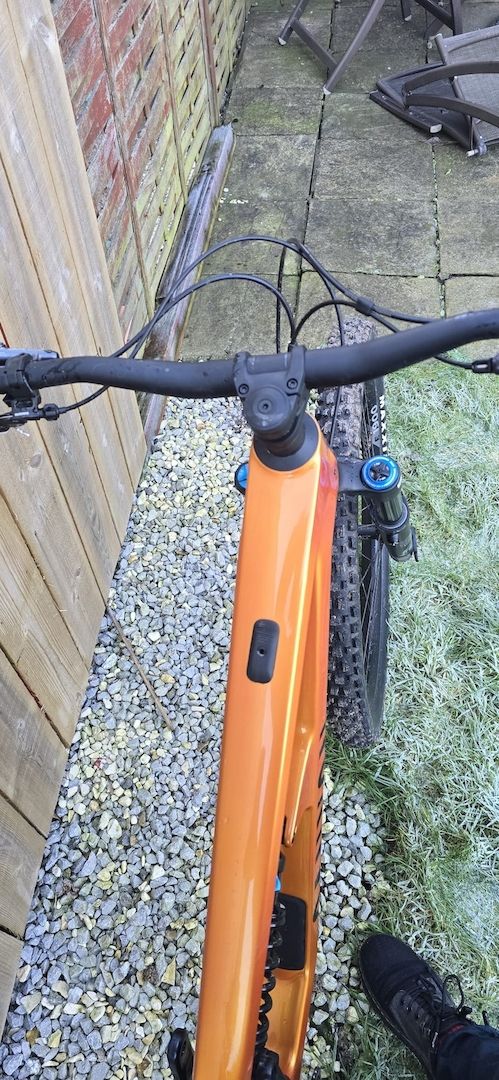 Canyon Spectral CF 8 CLLCTV 2024