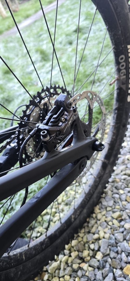 Canyon Spectral CF 8 CLLCTV 2024