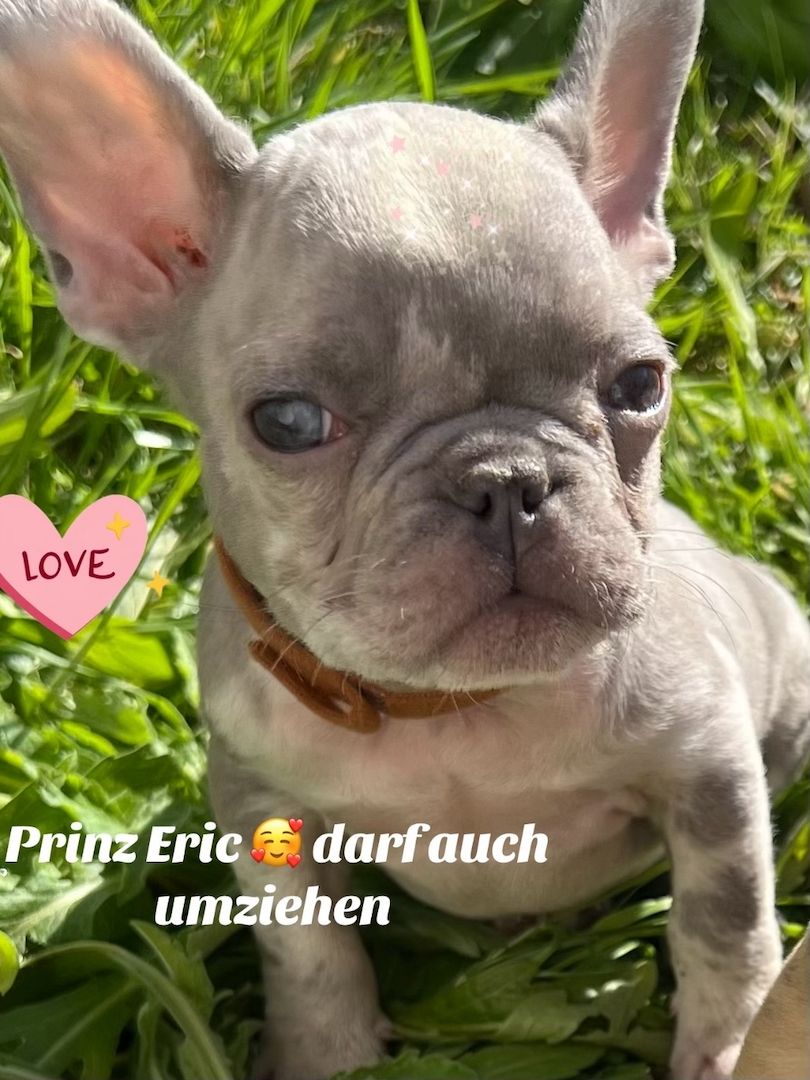 Wir suchen ein Neues Zuhause Wir suchen ein Neues Zuhause