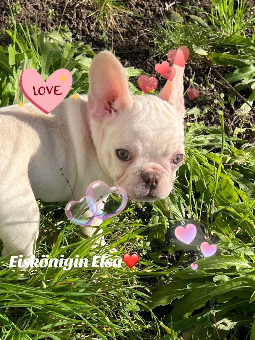 Wir suchen ein Neues Zuhause Wir suchen ein Neues Zuhause