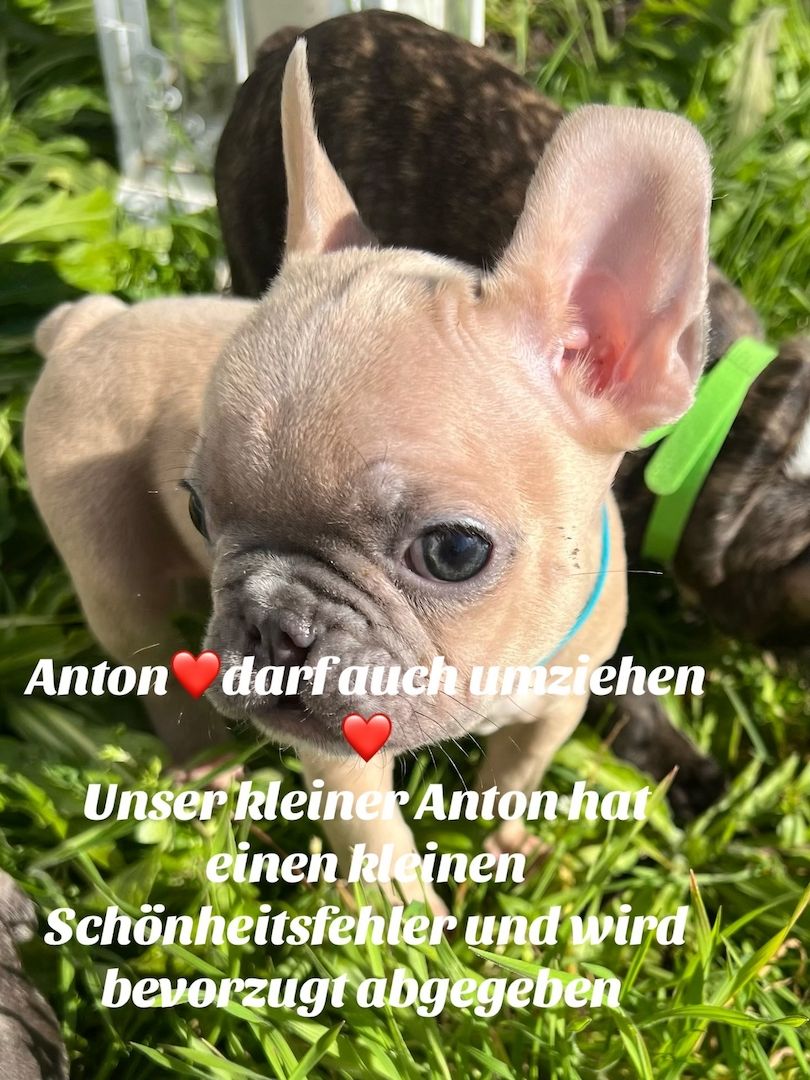 Wir suchen ein Neues Zuhause Wir suchen ein Neues Zuhause