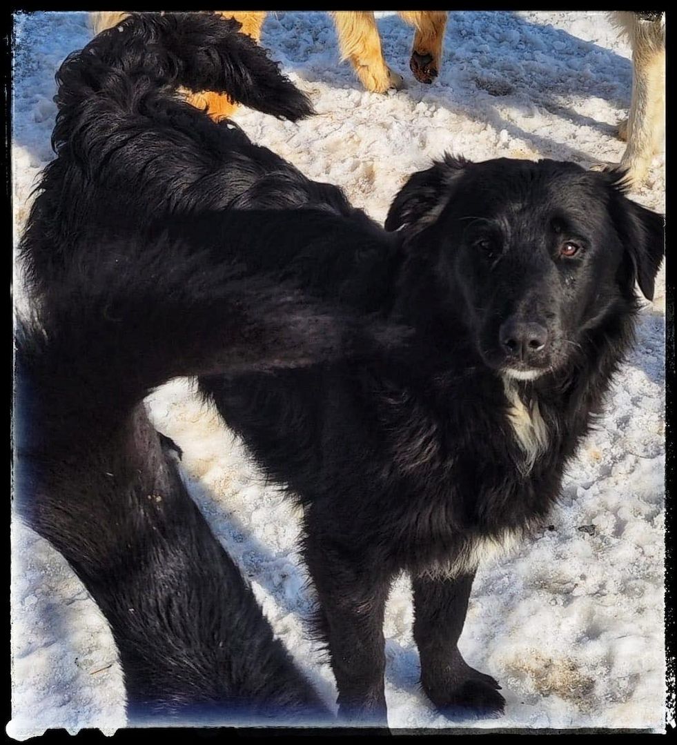 Batman, möchte endlich seine Menschen finden