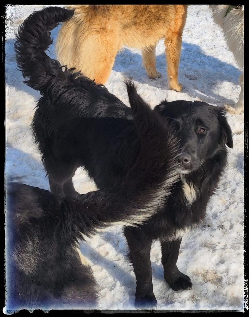 Batman, möchte endlich seine Menschen finden