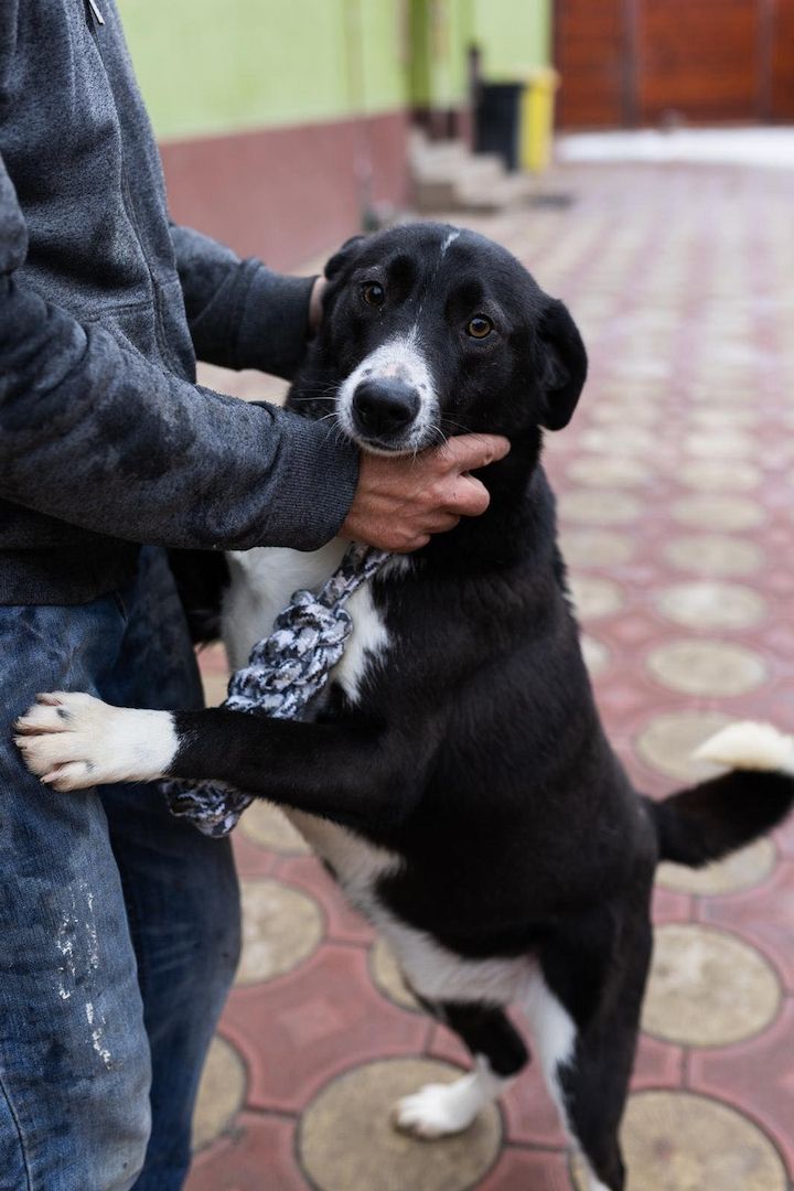 Hänsel, sucht Spielpartner