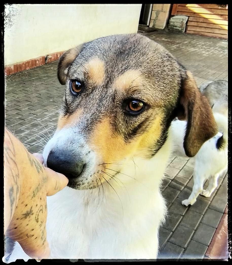 Hermine, möchte endlich Vertrauen fassen