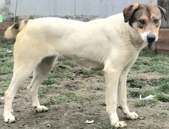 Hermine, möchte endlich Vertrauen fassen