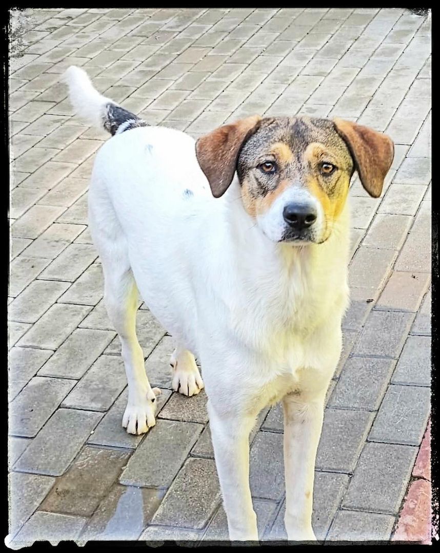 Hermine, möchte endlich Vertrauen fassen