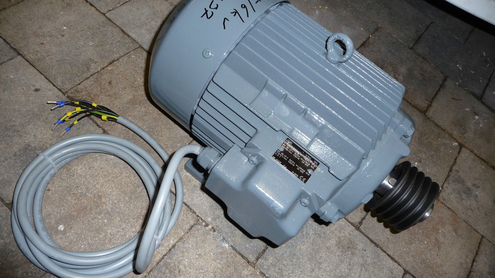 Fleischwolf Seydelmann mit TRENNSATZ!!mit neuen Motor