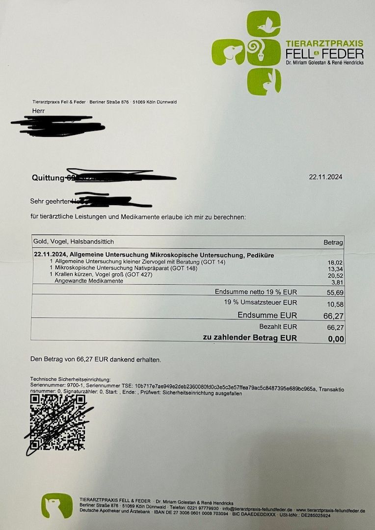 Zahmer Alexandersittich - Halsbandsittich mit Käfig und Zubehör_Weiblich