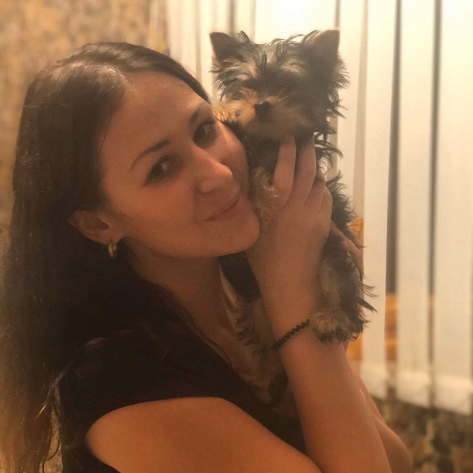 Yorkshire-Terrier Yorkshire-Terrier