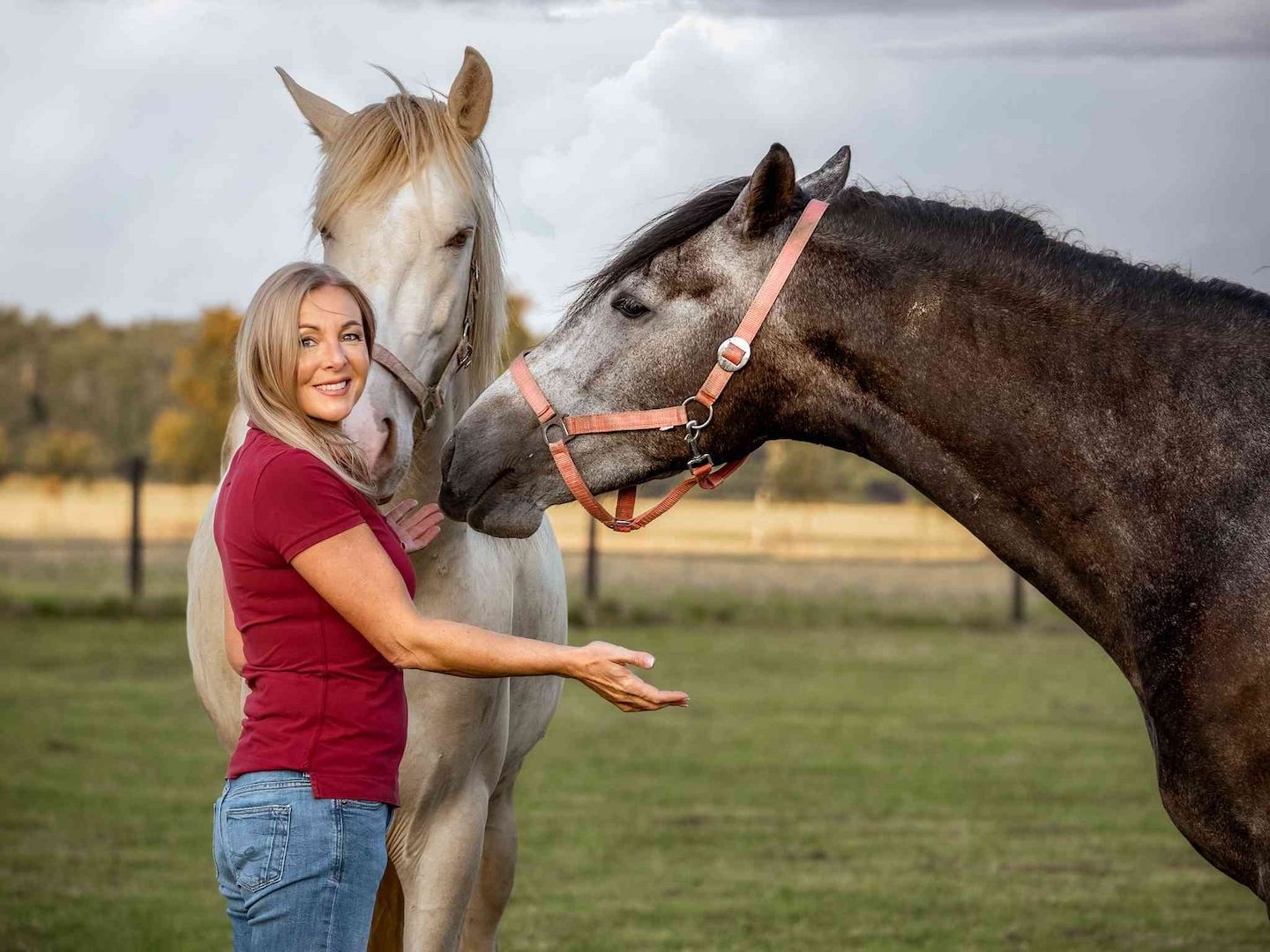 ISO-zertifizierte Pferdetrainerausbildung – Pferdetrainer werden
