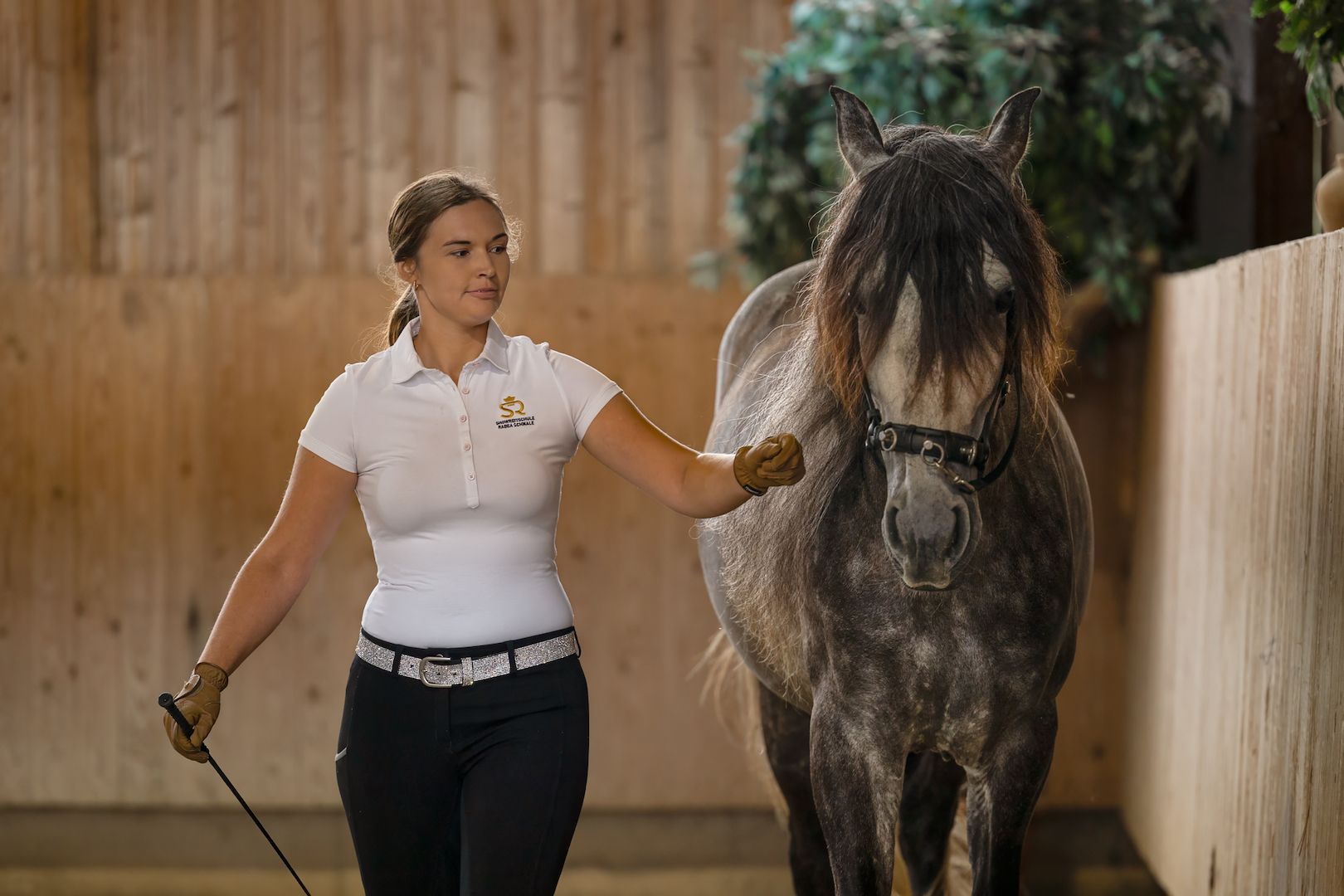Kostenloses Beratungsgespräch zur Pferdetrainerausbildung