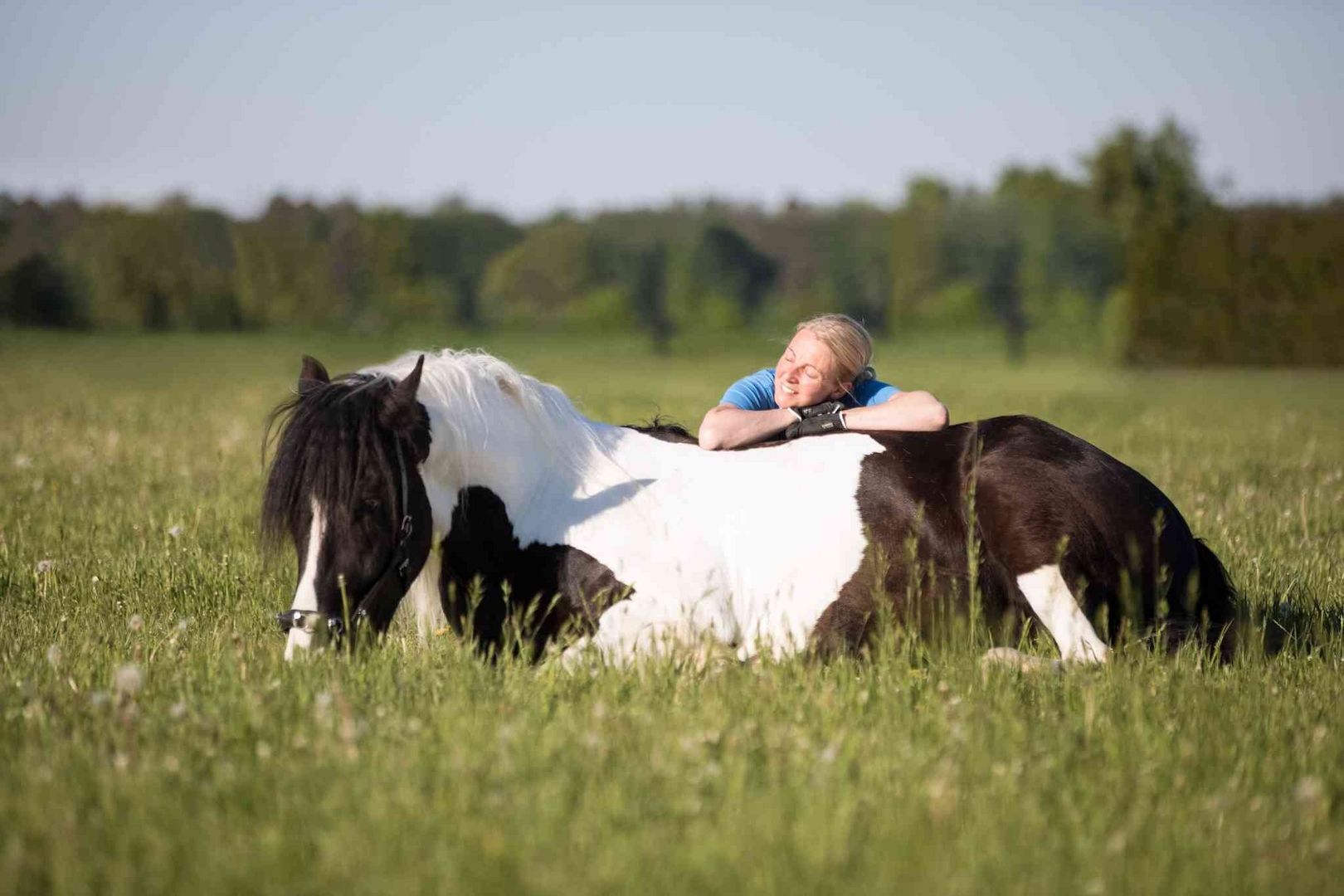 Eignungstest für Pferdetrainer-Ausbildung kostenlos