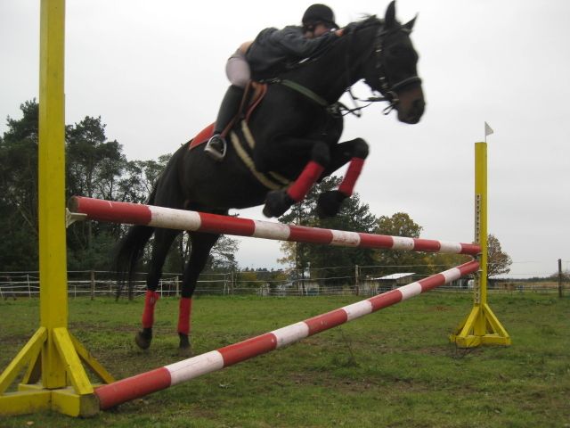 Reiterferien für Kinder bei Berlin ab 499,- EUR bei Berlin