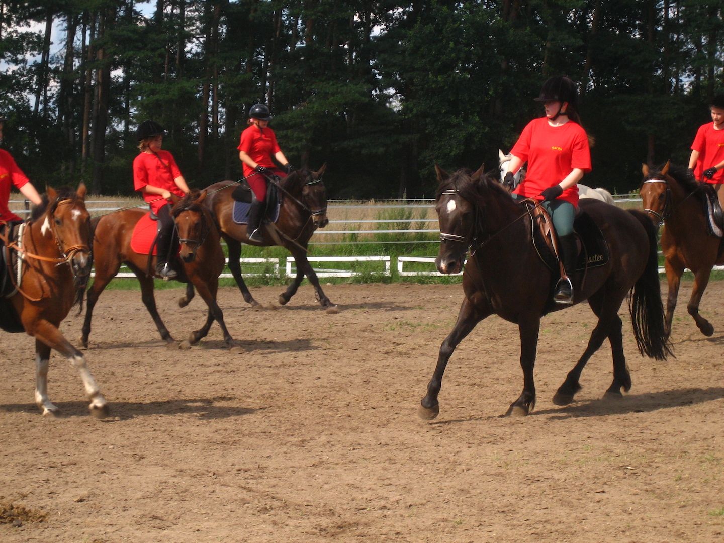 Reiterferien für Kinder bei Berlin ab 499,- EUR bei Berlin