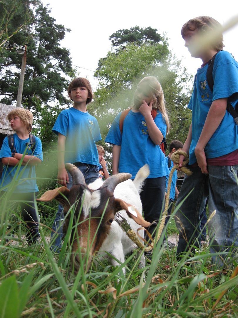 Englischcamp Sprachreise bei Berlin Nachhilfe ab 499,- EUR