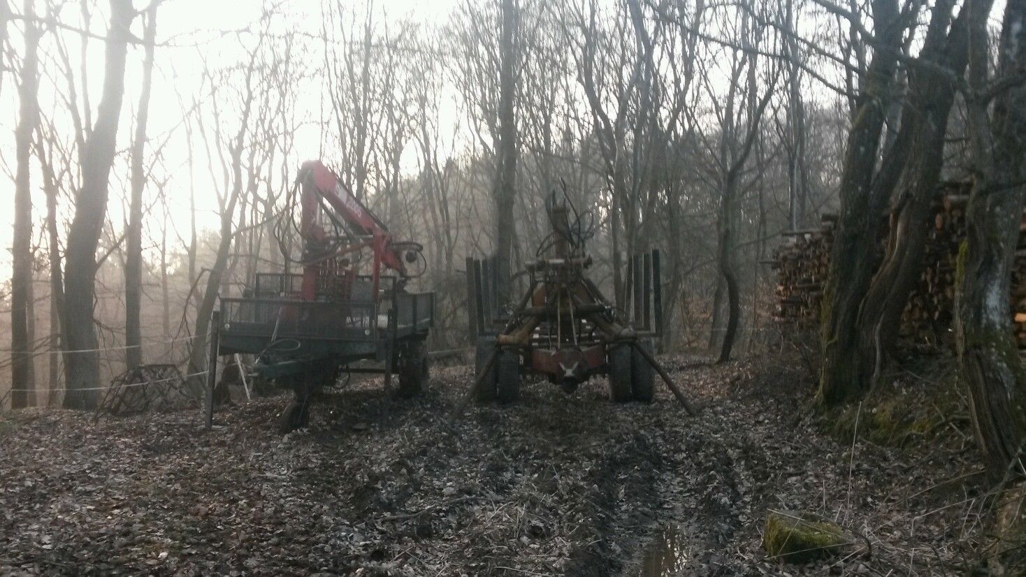2 Rückewagen mit kran