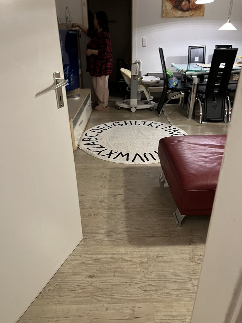 Bkh kitten reinrassig