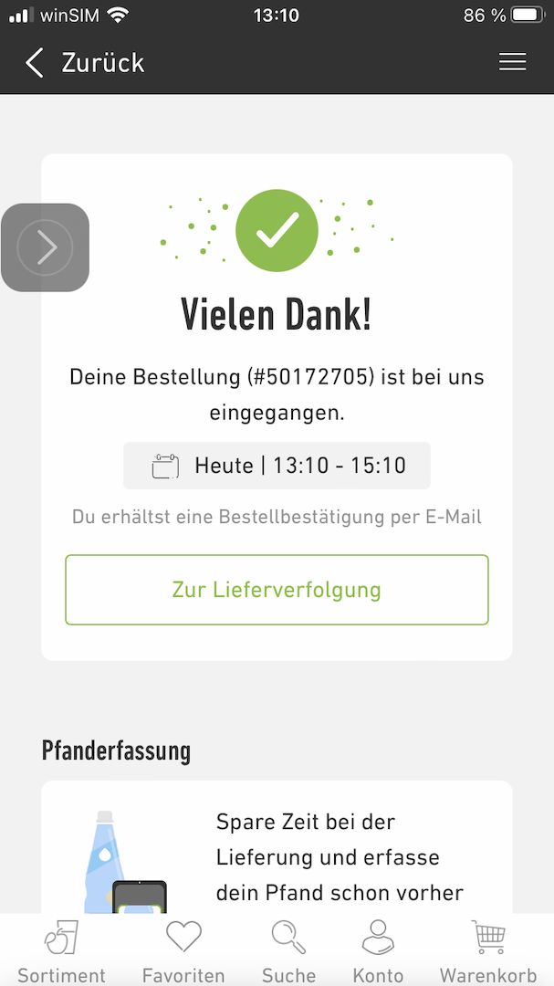 Bkh kitten reinrassig