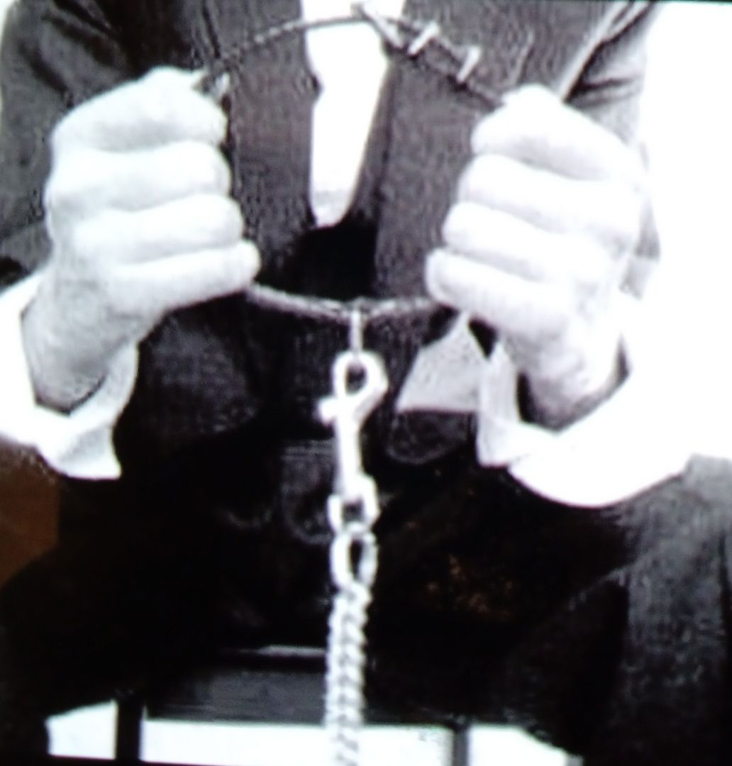 Devote willige unterwürfige Sex Dienerin gesucht auch Bi! Ausländische, Asylantin, Wohnen