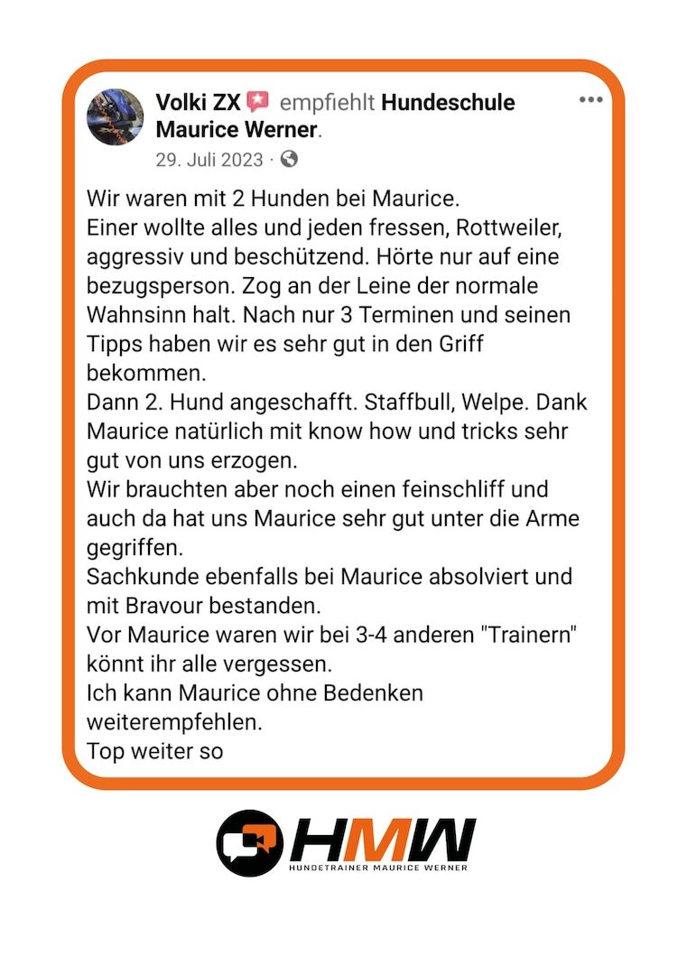 Innovatives Hundetraining durch Videoanalyse