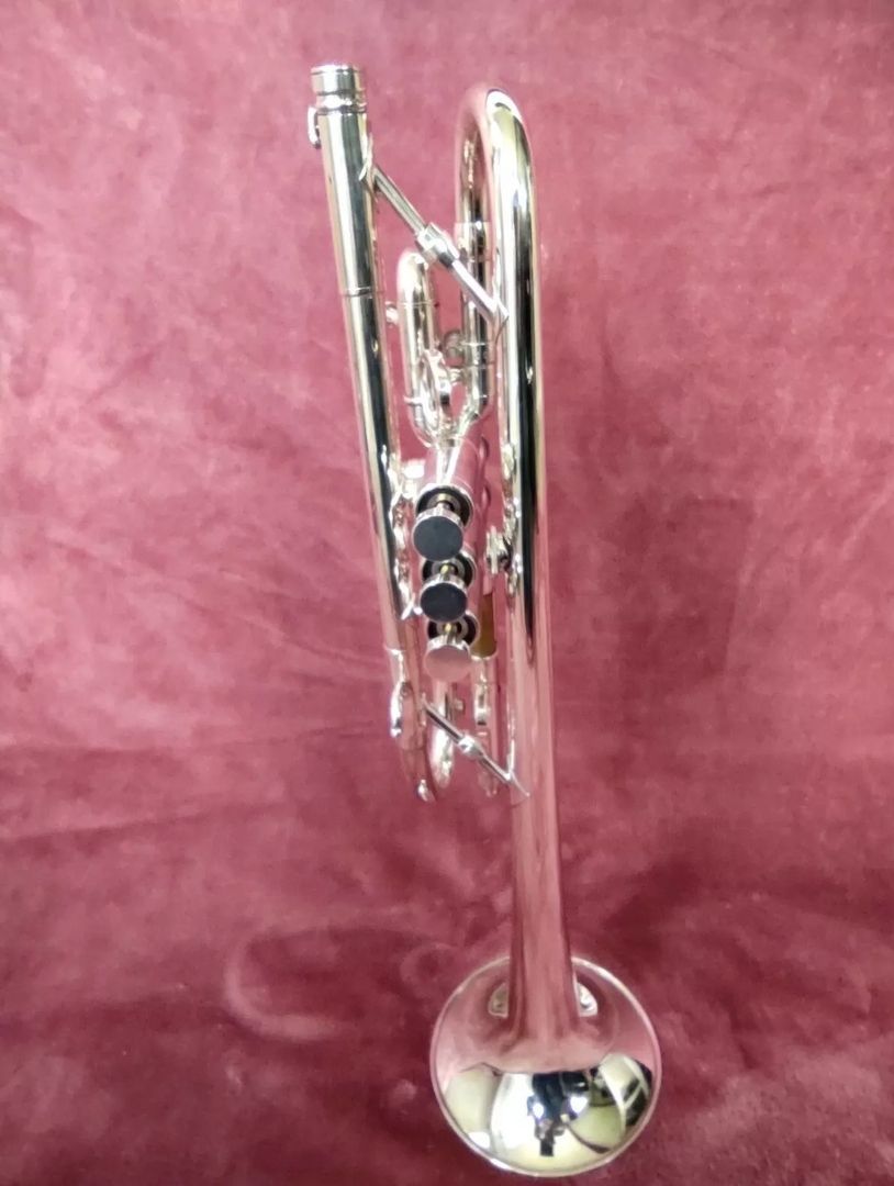 B Trompete Edwards Generation lll L USA